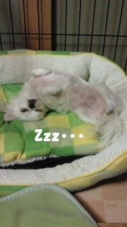 縺。繧上o+093_convert_20120807154243