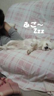 縺。繧上o+075_convert_20120807153959
