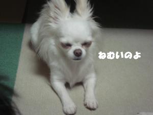 蟆城未+646_convert_20120807154434