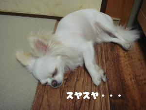 蟆城未+560_convert_20120807154537