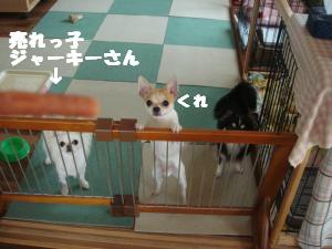 蟆城未+666_convert_20120809130318