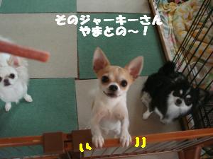 蟆城未+668_convert_20120809130341