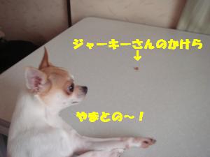 蟆城未+669_convert_20120809130416