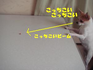 蟆城未+670_convert_20120809130445