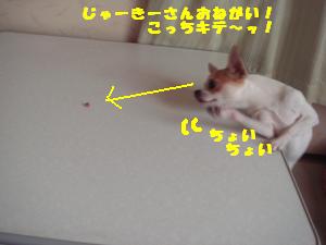 蟆城未+671_convert_20120809130511