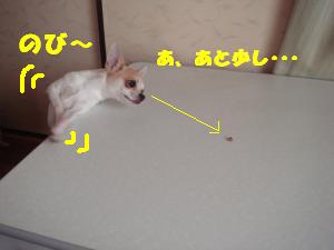 蟆城未+672_convert_20120809130546