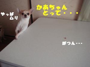 蟆城未+673_convert_20120809130612