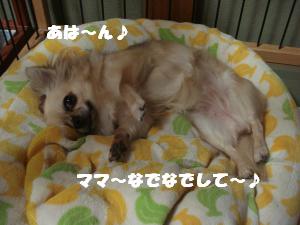 蟆城未+658_convert_20120807110535