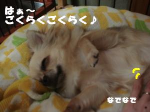 蟆城未+660_convert_20120809112021