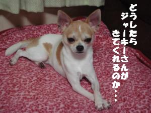 蟆城未+289_convert_20120809130848