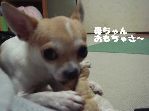 蟆城未+571_convert_20120810134010