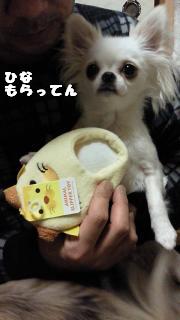 縺イ縺ェ縺・・・・雲convert_20120810133030