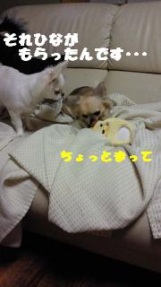 縺。繧上o+174_convert_20120810133234