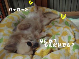 蟆城未+677_convert_20120810133811