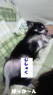 縺。繧上o+660_convert_20120810154243