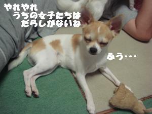 蟆城未+552_convert_20120810154130