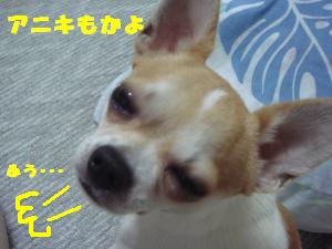 蟆城未+630_convert_20120810154350