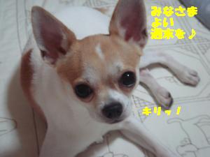 蟆城未+667_convert_20120810154450