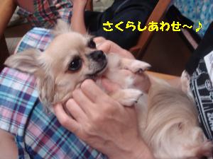 逕サ蜒・188_convert_20120813212409