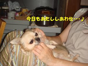 逕サ蜒・194_convert_20120813212556