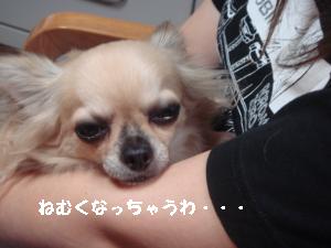 逕サ蜒・189_convert_20120813214635