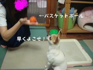 逕サ蜒・202_convert_20120814224138