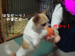 逕サ蜒・204_convert_20120814224307