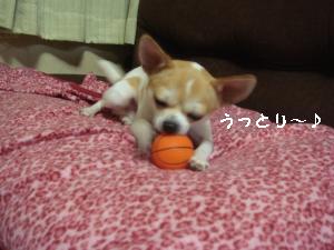 逕サ蜒・208_convert_20120814224439