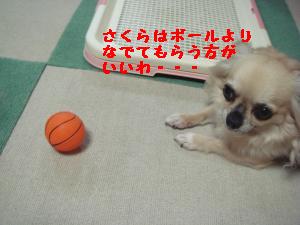 逕サ蜒・206_convert_20120814224548