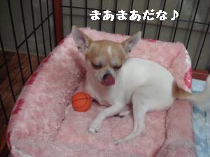逕サ蜒・199_convert_20120814230436