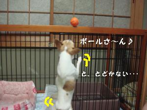 逕サ蜒・212_convert_20120814224742