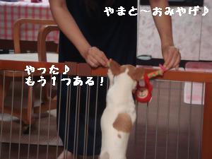 逕サ蜒・210_convert_20120816164550