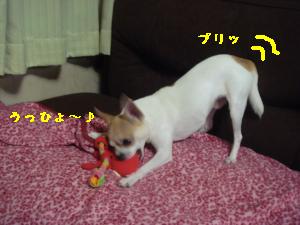 逕サ蜒・214_convert_20120816165310