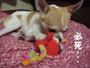 逕サ蜒・216_convert_20120816164842