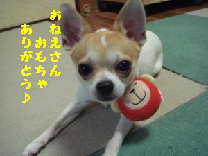 逕サ蜒・219_convert_20120816165502
