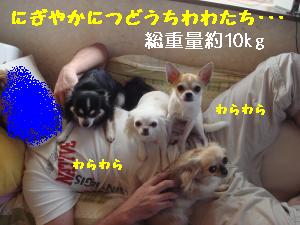 逕サ蜒・200_convert_20120816165822
