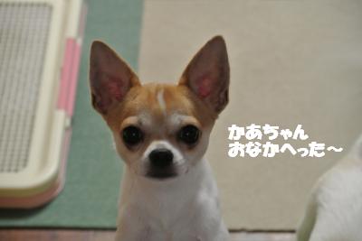 蟆城未+682_convert_20120817112554