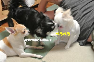 蟆城未+705_convert_20120817112349