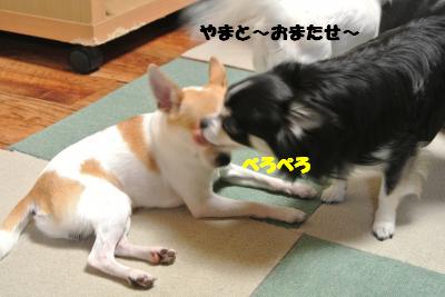 蟆城未+687_convert_20120817112452