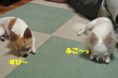 蟆城未+689_convert_20120817111910