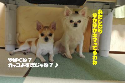 蟆城未+700_convert_20120817112002