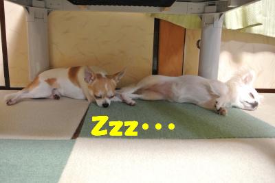 蟆城未+709_convert_20120817112305