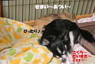 蟆城未+706_convert_20120817112714
