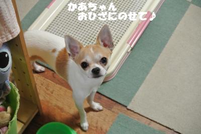 蟆城未+686_convert_20120817150317
