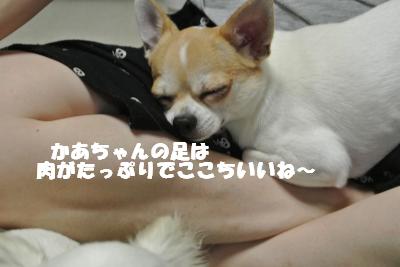 蟆城未+714_convert_20120817150210