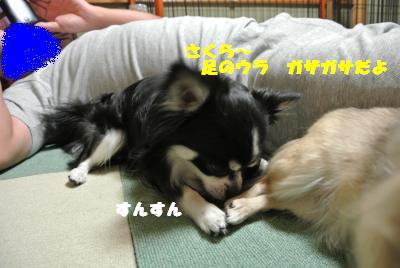 蟆城未+724_convert_20120820100524