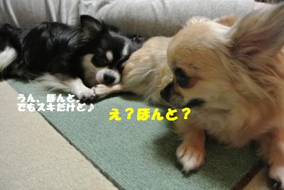 蟆城未+725_convert_20120820100551