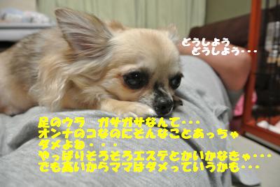 蟆城未+726_convert_20120820100632