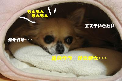 蟆城未+745_convert_20120820100711
