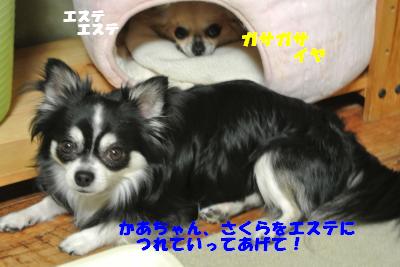 蟆城未+731_convert_20120820100732